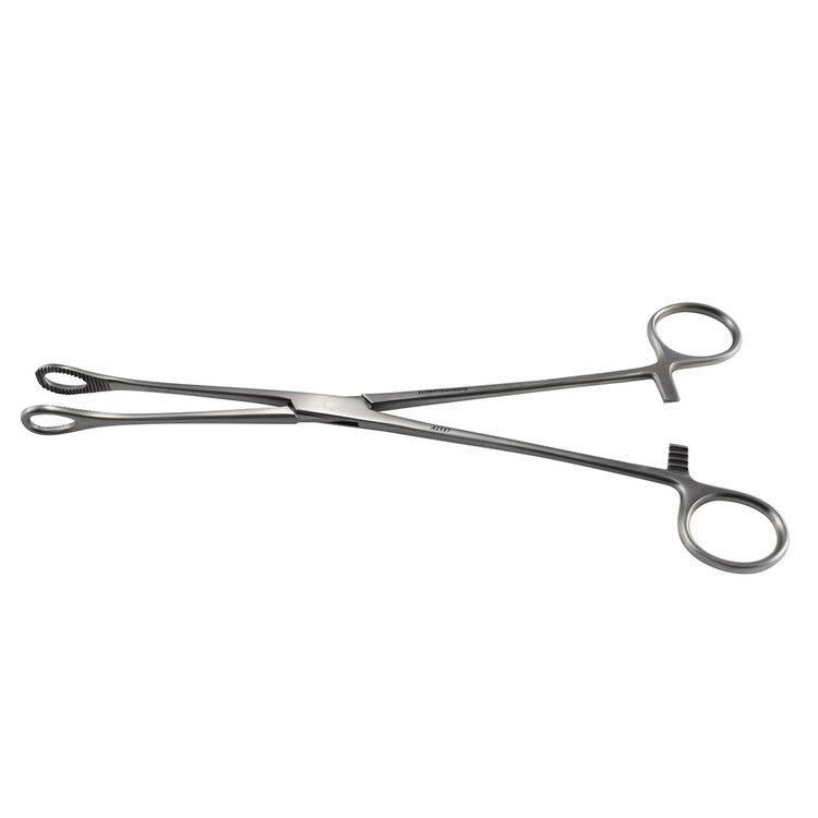 ARMA Sponge & Holding Foerster Forceps 25cm Straight