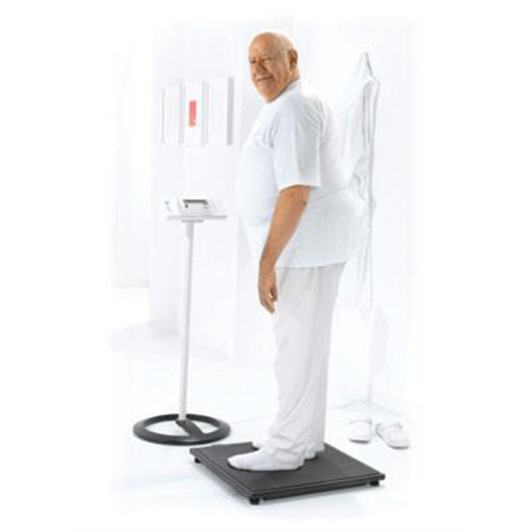 Seca 634 Digital & Wireless Bariatric Scale