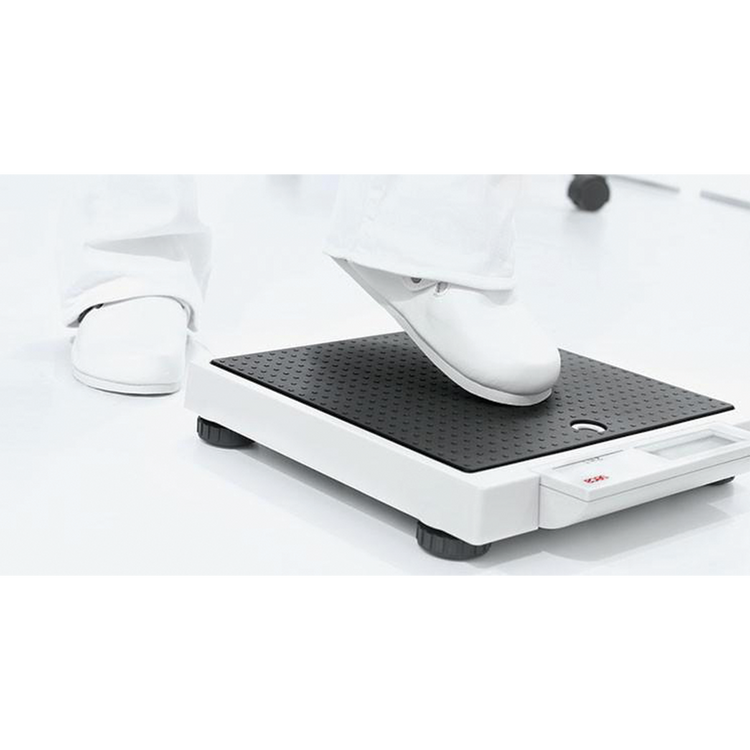 Seca 876 Mobile Flat Scale