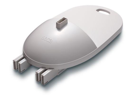 Measuring Rod-Seca-213-3