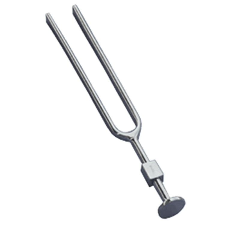 LR Instruments Tuning Fork with Footbase