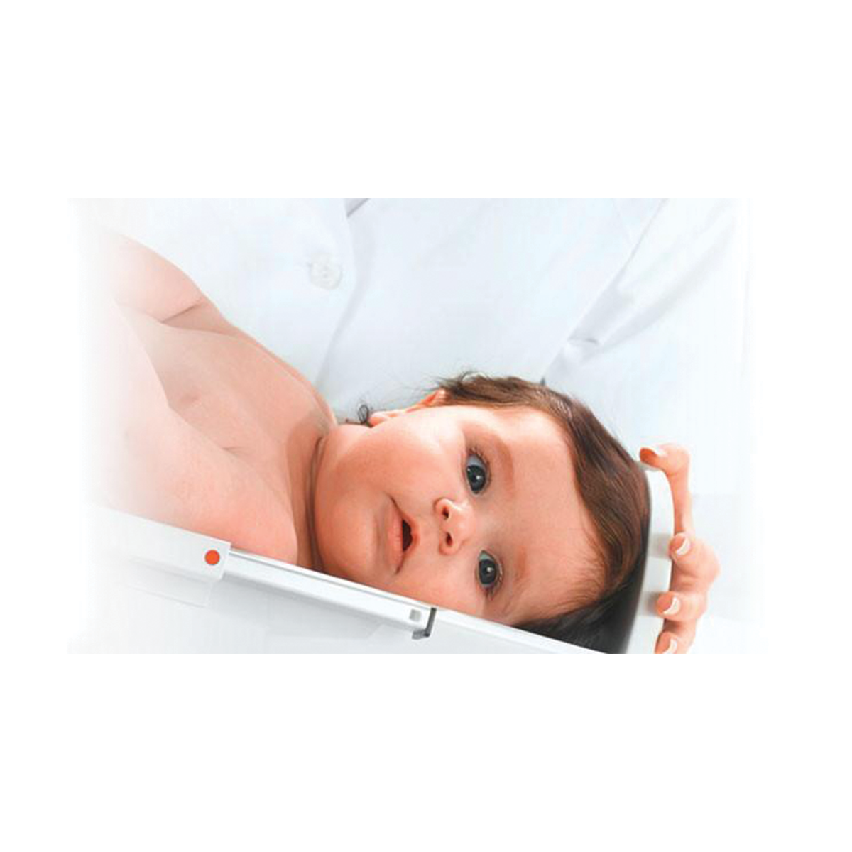 Buy Seca 334 Digital Baby Scale Online